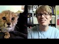 In which Hank discusses the extreme dangers of puppies, kittens, puppies cuddling with kittens and our continuing path toward hypercuteness and what it means for our lives and the lives of our children. Cute-ocalypse image by Vondell Swain! Of course. Sound and campaign poster by Michael Aranda.
