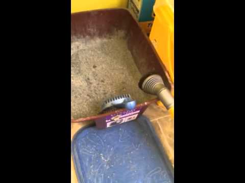 Cat Litter Dust