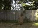 ryan wenceslao video