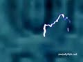 sweatyfish-Moby-Come on Baby