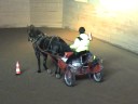 Suss och Lady på körträning
