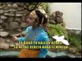 Rincong meupucoek