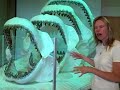 activity-leaning-about-megalodon-shark-cullens-abcs.html