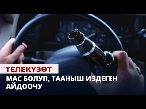 Мас болуп, тааныш издеген айдоочу | Телекүзөт | 06.09.2023