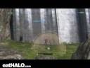 Snipe