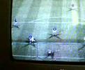 gol ibra by fibroga