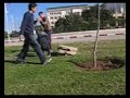 parkour wilaya parkour wilaya