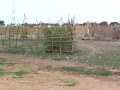 More Bentiu