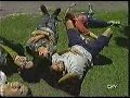 EL BICHO DEL JUEGO (EXTRA JOVENES CHV) 1994 EL BICHO DEL JUEGO (EXTRA JOVENES CHV) 1994