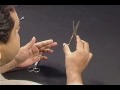 This is a lecture demonstration of basic surgical instruments like forceps and scisorrs, and explains the correct way to use them.
