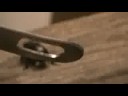 l'invasion du scarabé! x_x