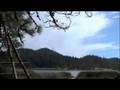 videos de fruit hucking