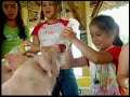 QUINDIO PARA VIVIRLO