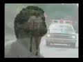 terry-fox.html