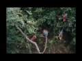 Rainforest Expeditions Trip to Tambopata Research Centre (Peru, South America)