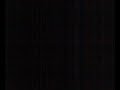 fusi 6.mp4