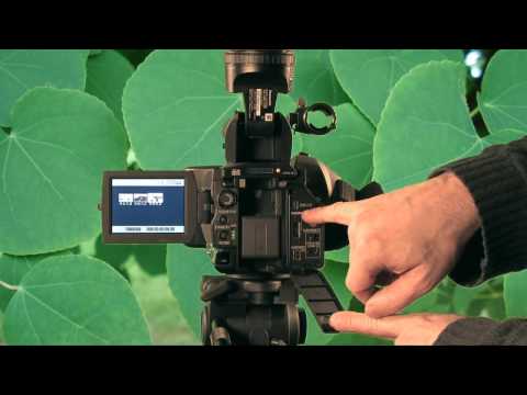 hmc 150 - More at HowNowVideo.com. Here's a quick review of the AG-HMC150 AVCHD camera from Panasonic. I'm editing the video using a quad-core Dell XPS 630 machine wit...