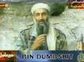 osama is dead