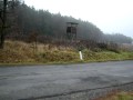 Schlägerungen auf S7 Trasse