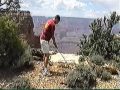 Random Trip Clips Random Trip Clips