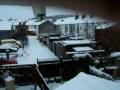 videos de omg! snow! ^_^