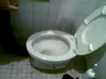 Alfre vomitino, 13-07-2006