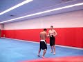 Focus Mitts