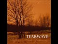 Comfort in Angels Wings - Tearwave