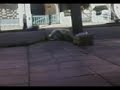 ollie en bandfiel je arrororor