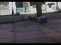 ollie en bandfiel je arrororor