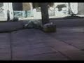ollie en bandfiel je arrororor