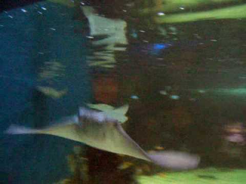 how to be camera friendly