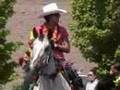 Bountiful Harvest - Parade Horses