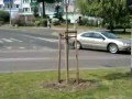 Chrysler 300M