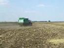 Massey Ferguson muck spreading with TEBBE