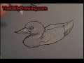 Duck in the water