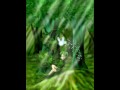 Saria Tribute (original)