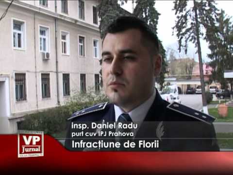 Infracţiune de Florii