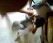 ayush