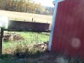 Big Butts...raw video