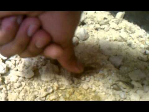 JLITM109R - 