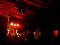 bulldog en vivo - piruvari
