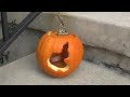 iPumpkin