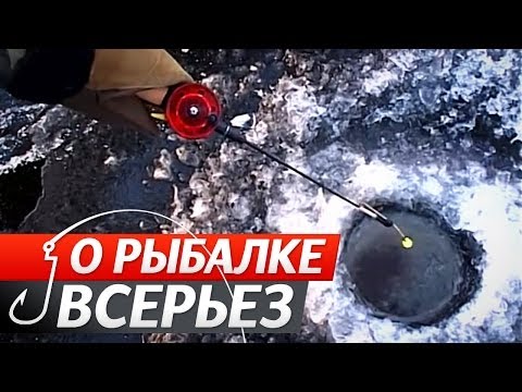 YouTube Трейлер