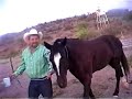 Cabalgata por sonora en Familia por la sierra 3da Parte