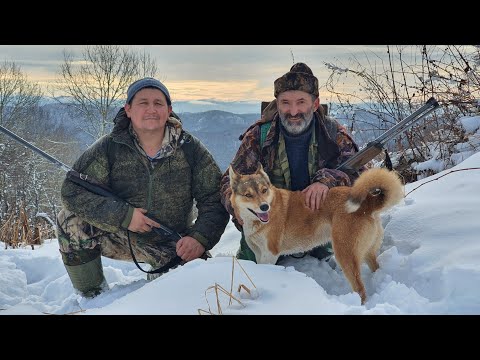 Промысловая охота на Алтае