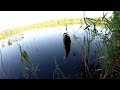 рыбалка в свердловской области видео паша с уралмаша рыбалка в свердловской области видео паша с уралмаша