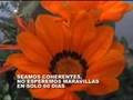 videos de Los 60 dias de Lugo