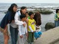 Hi Teacher : Teach English in Korea