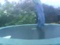 Back Flip Into Fence